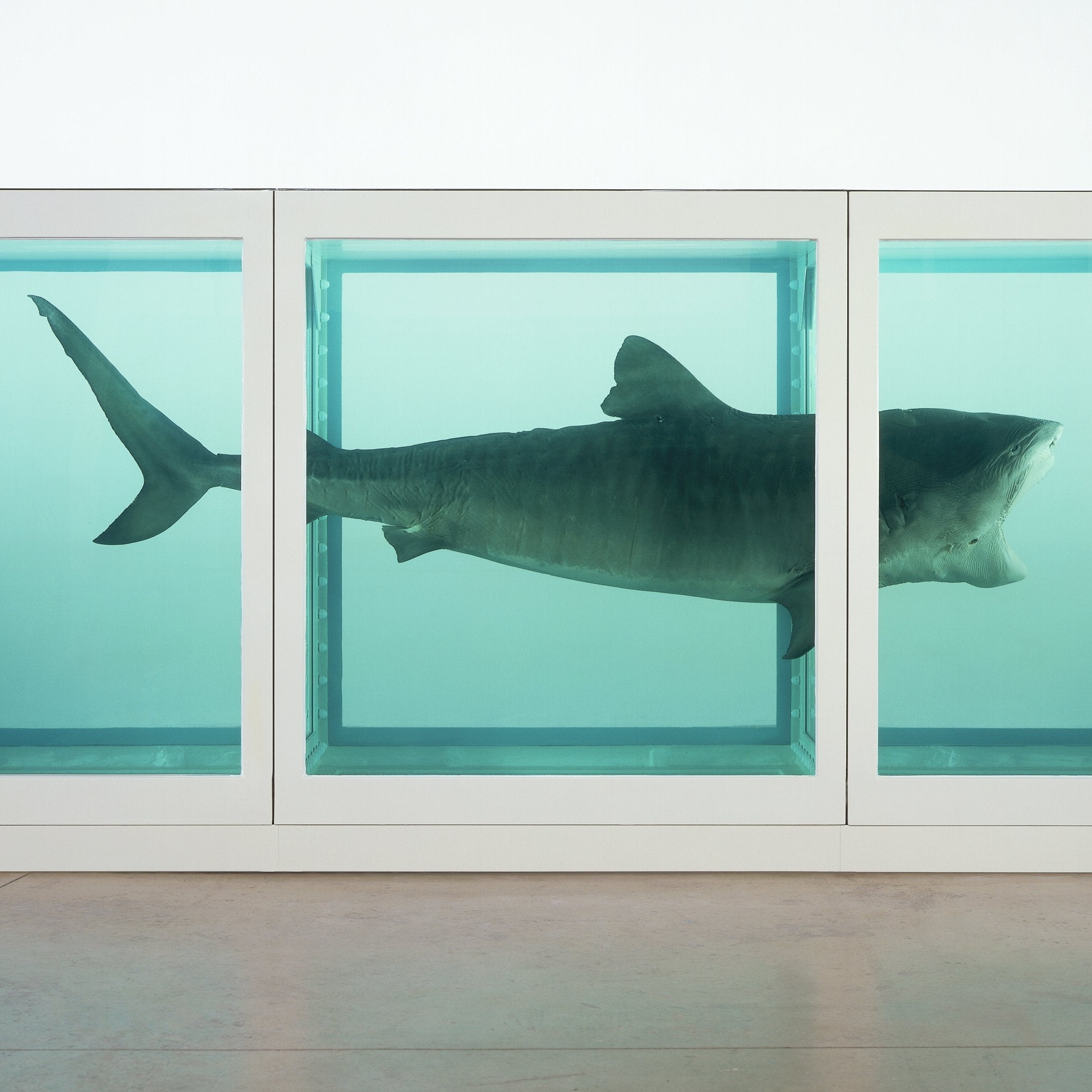 Damien Hirst Art For Sale | Joseph K. Levene Fine Art, Ltd