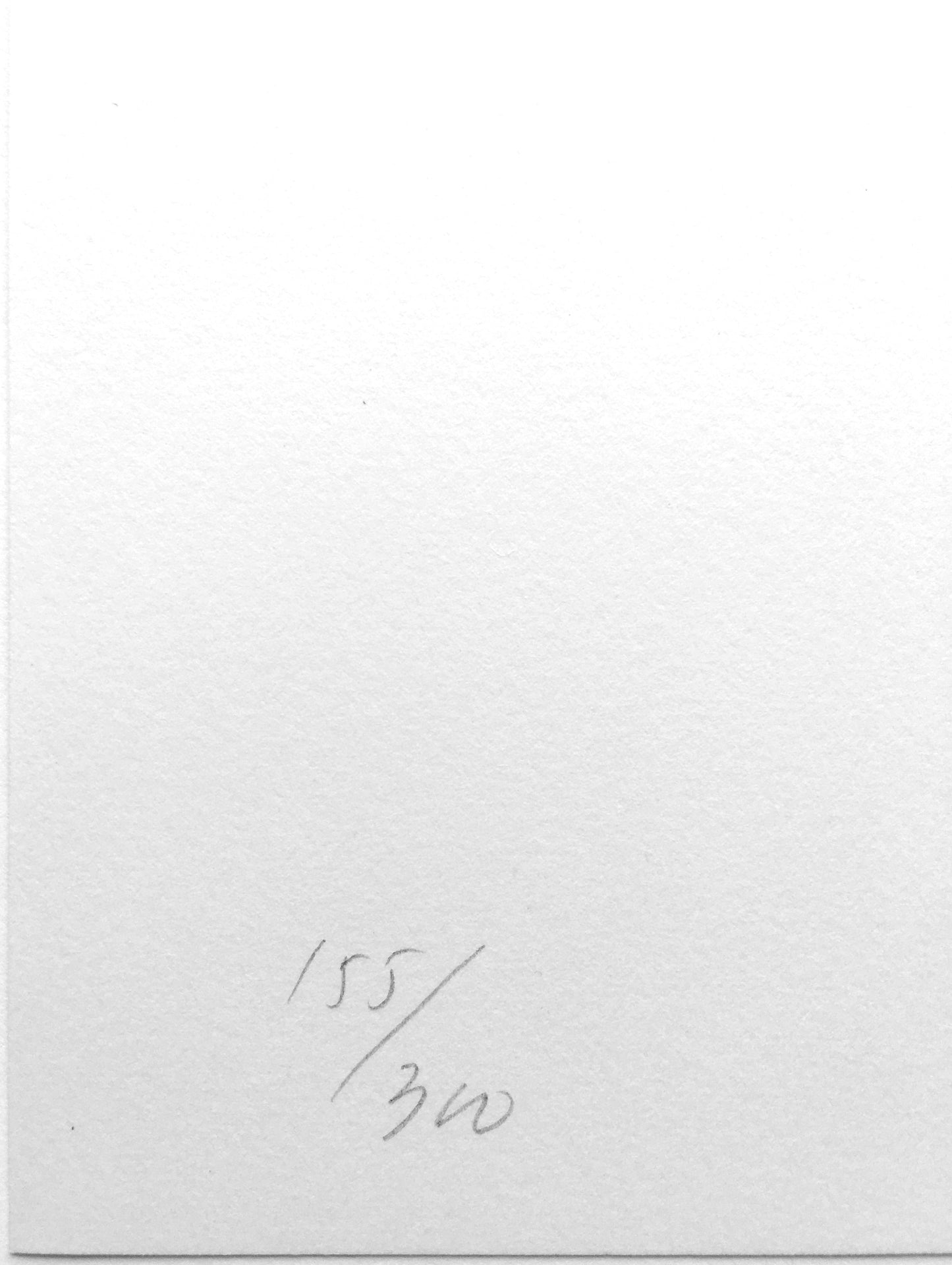Ellsworth Kelly Untitled 1973 Axsom 92 Limited Edition Screenprint