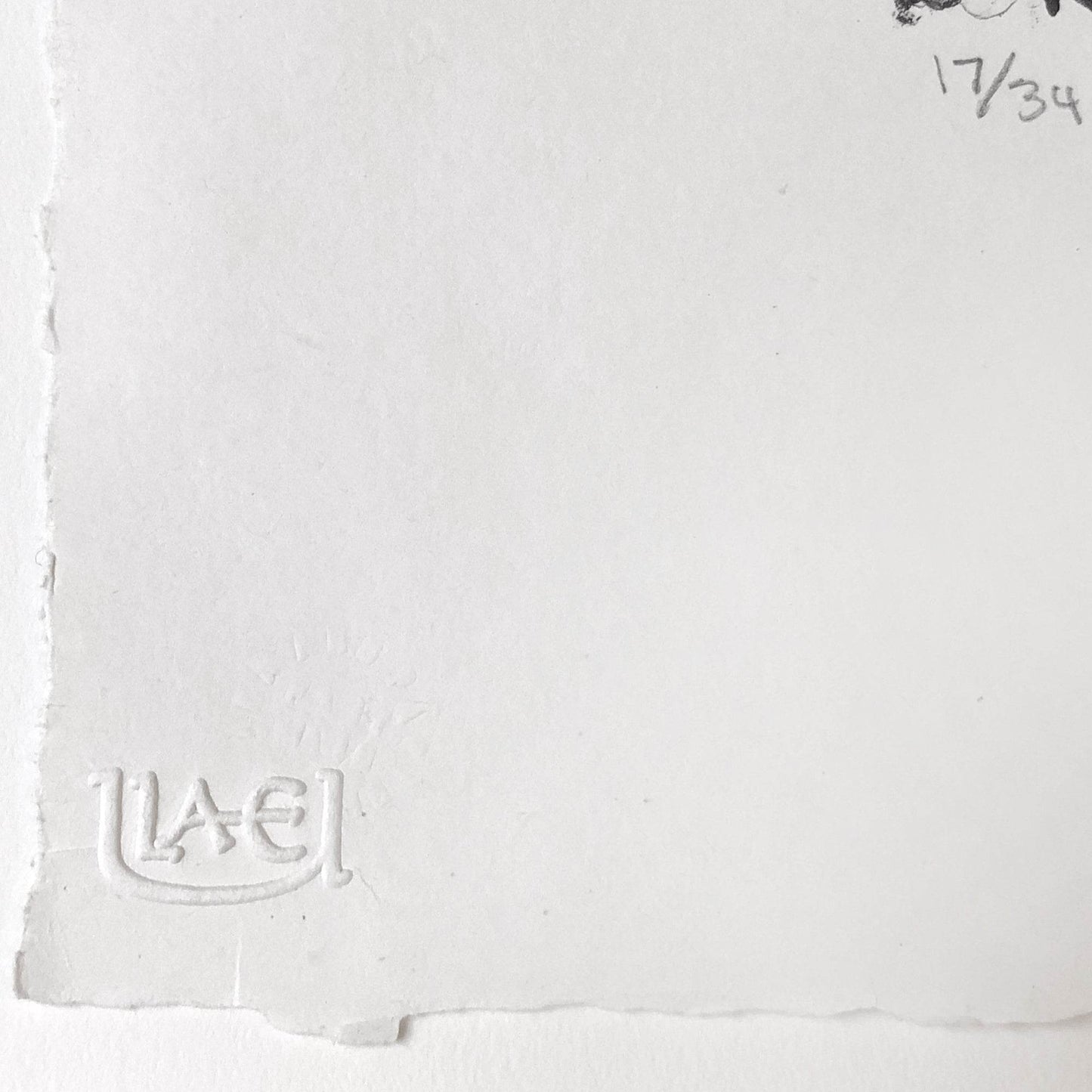 Jasper Johns Winter 1985-91 ULAE 248 Signed Original Lithograph - Joseph K. Levene Fine Art, Ltd.