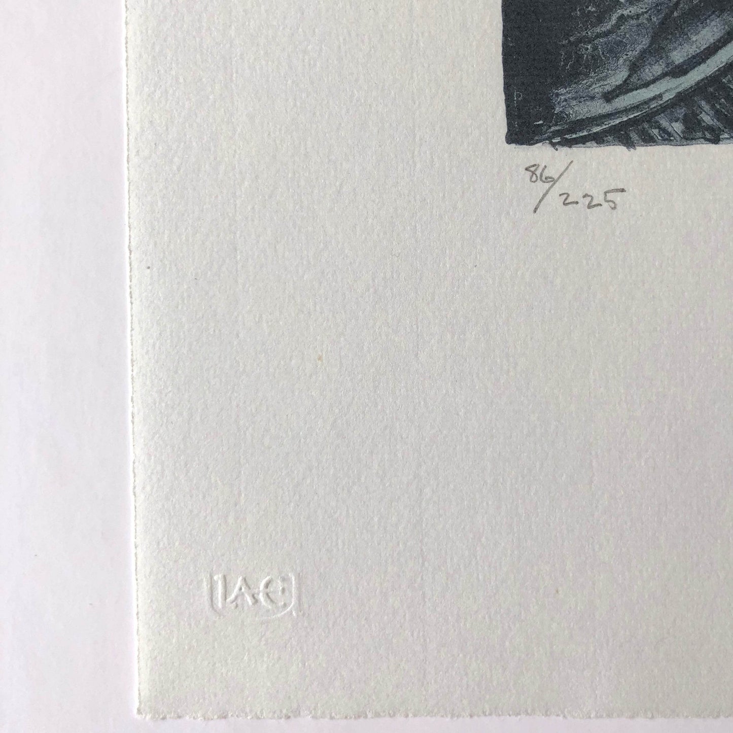 Jasper Johns Summer Blue 1985-91 ULAE 254 Original Color Lithograph - Joseph K. Levene Fine Art, Ltd.