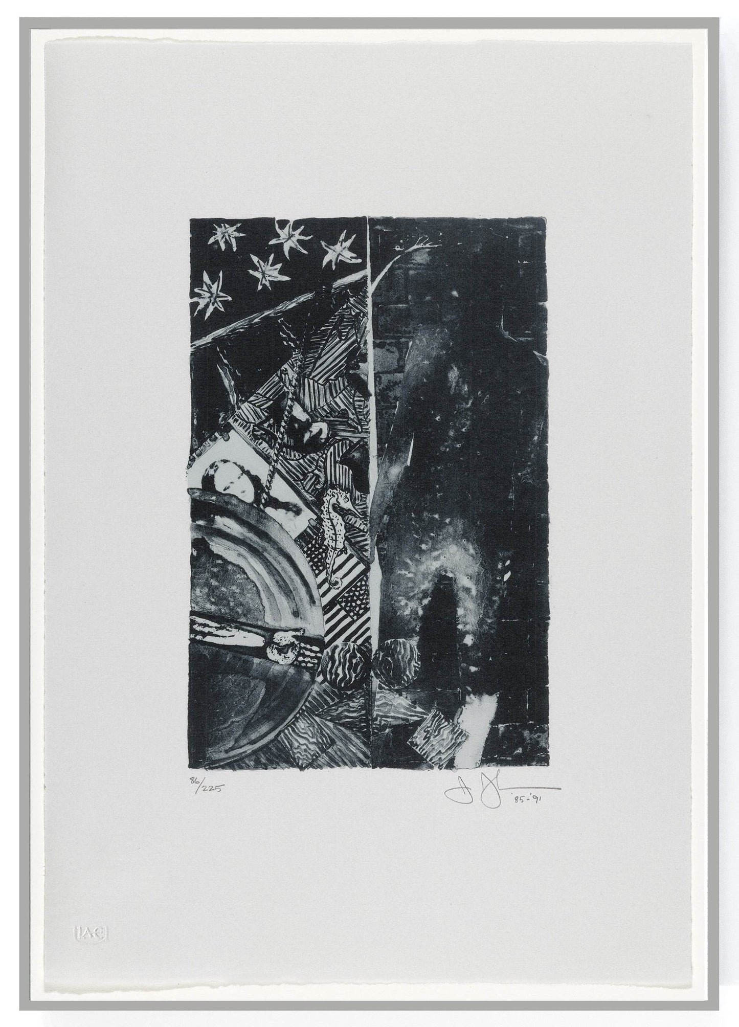 Jasper Johns Summer Blue 1985-91 ULAE 254 Original Color Lithograph - Joseph K. Levene Fine Art, Ltd.
