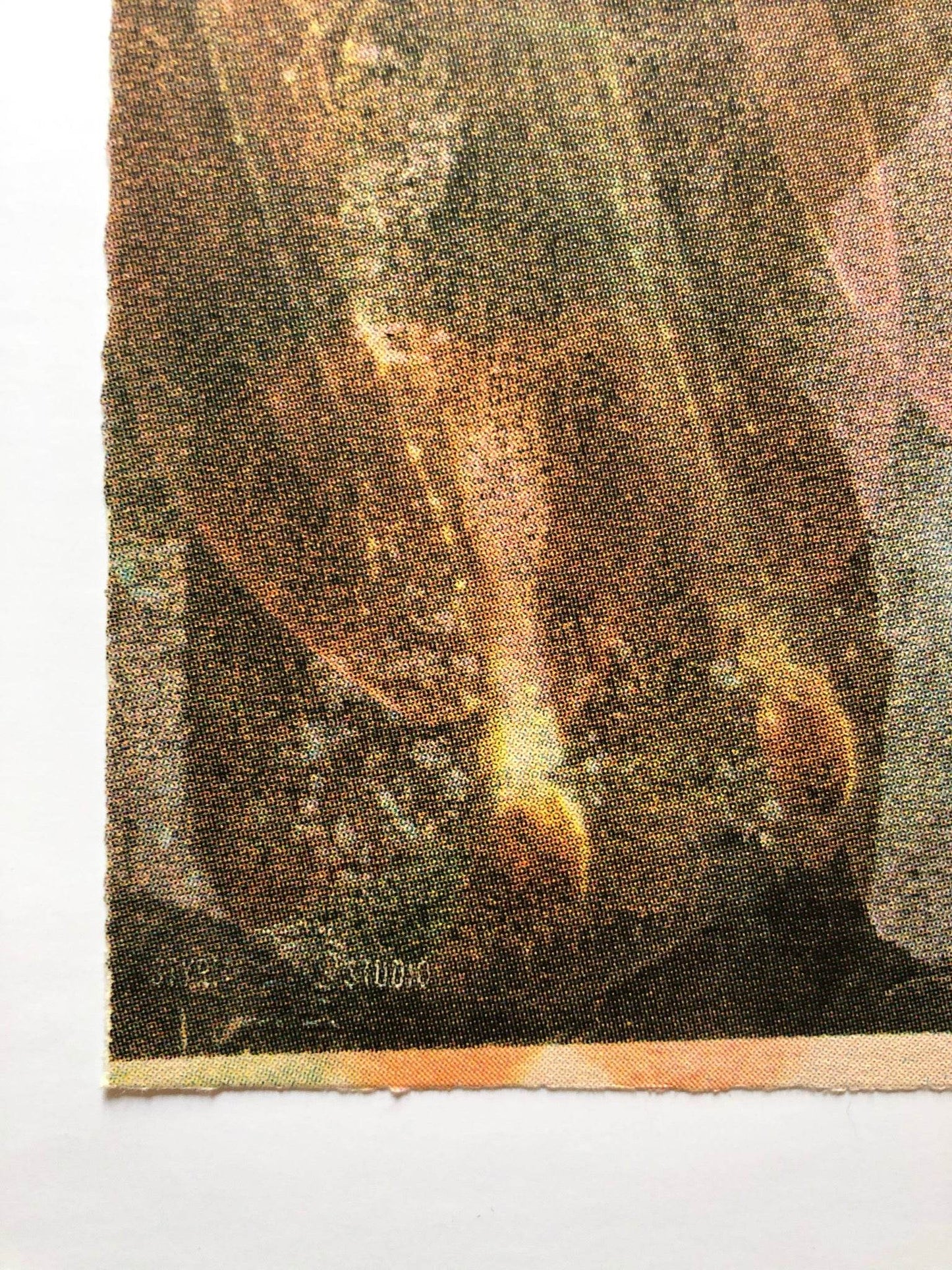 Robert Rauschenberg Deposit 1975 Signed Original Color Screenprint - Joseph K. Levene Fine Art, Ltd.