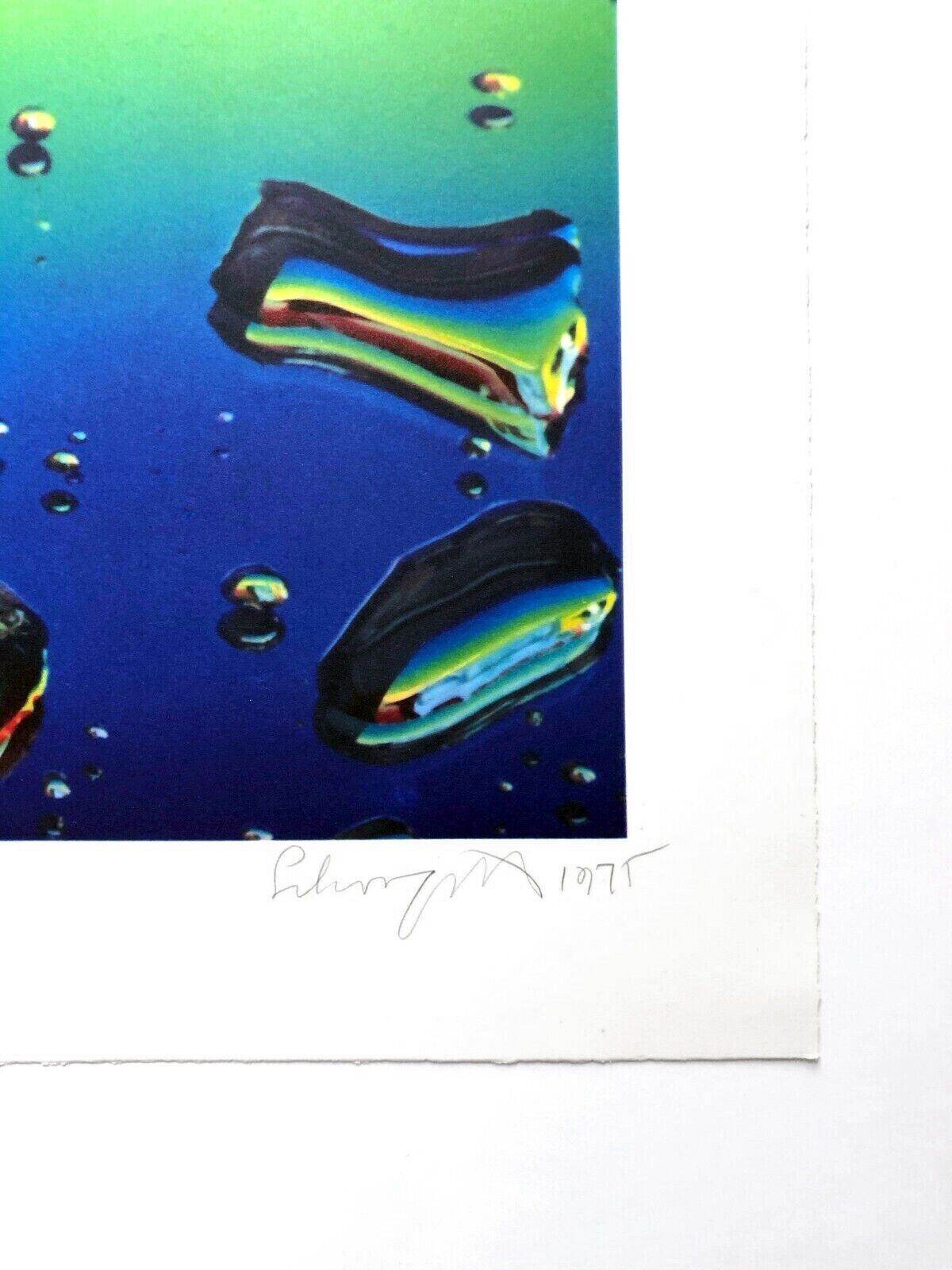 Ben Schonzeit Yankee Flame 1975 - Joseph K. Levene Fine Art, Ltd.