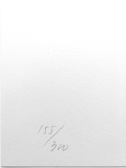 Ellsworth Kelly Untitled 1973 Axsom 92 Limited Edition Screenprint