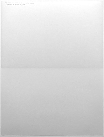 Ellsworth Kelly Untitled 1973 Axsom 92 Limited Edition Screenprint