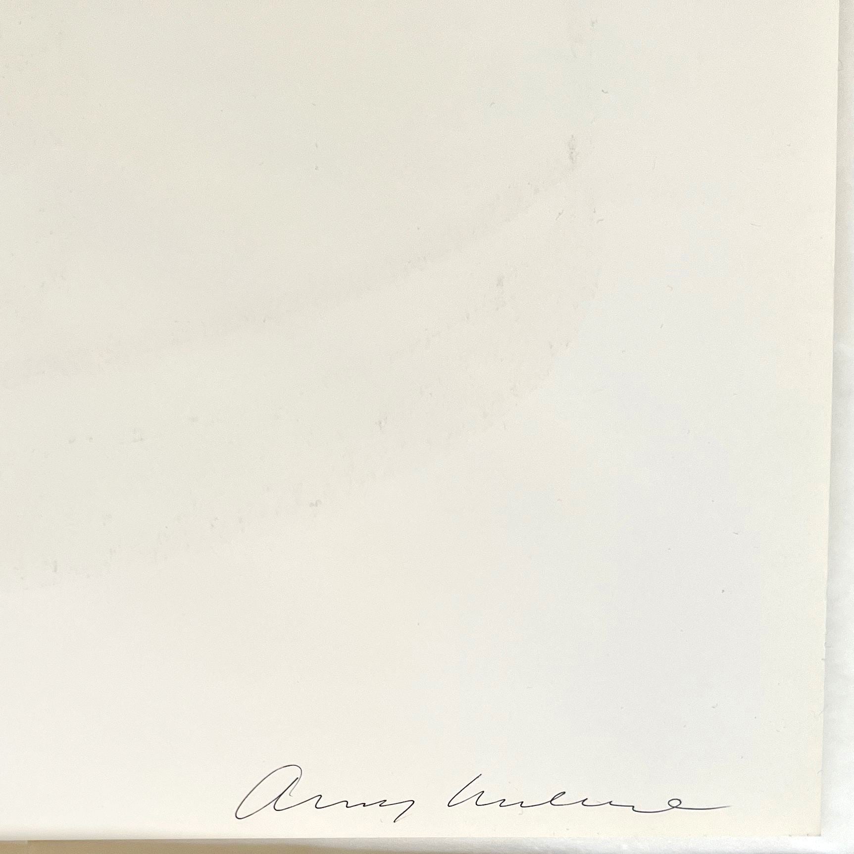 Hand signed "Andy Warhol" in black ball-point pen on verso: Andy Warhol Campbell's Soup II: Oyster Stew (F&S II 60), 1969