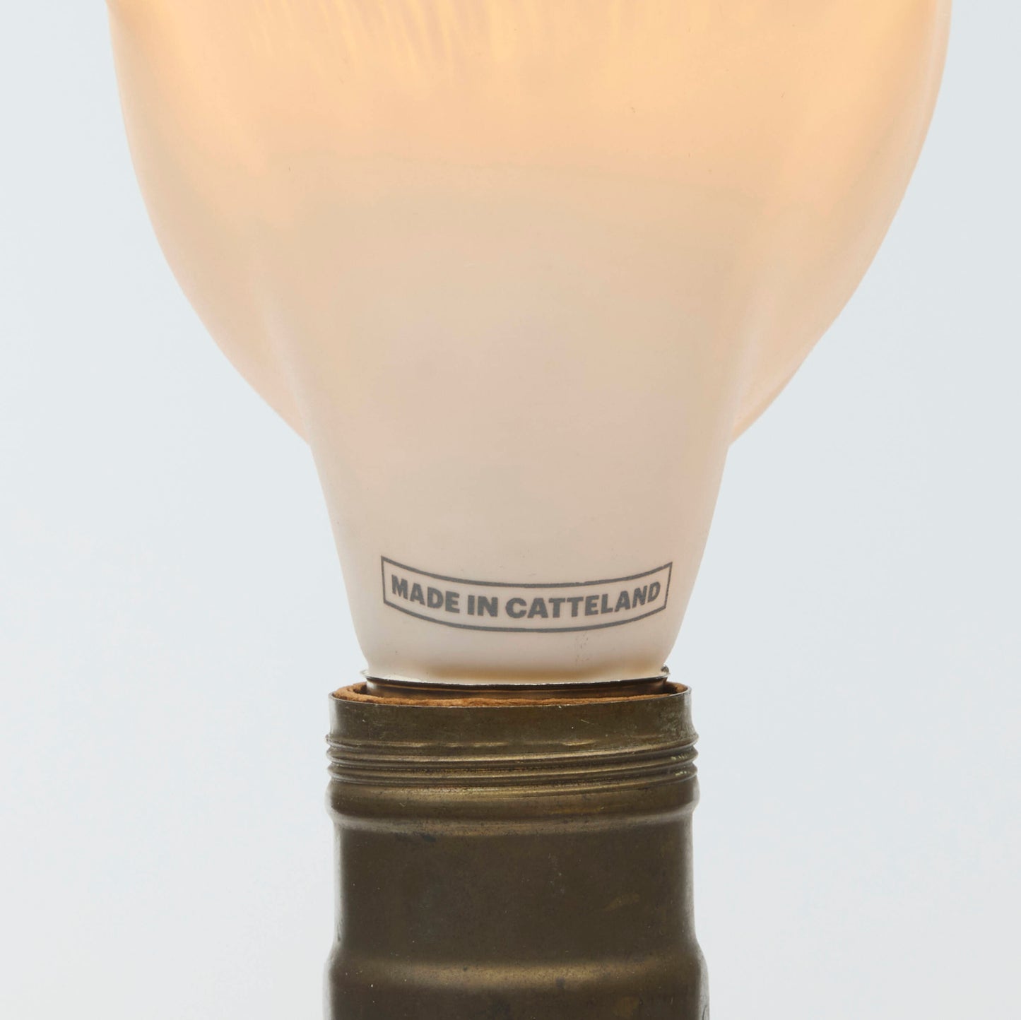 Detail on verso showing "Made In Catteland"