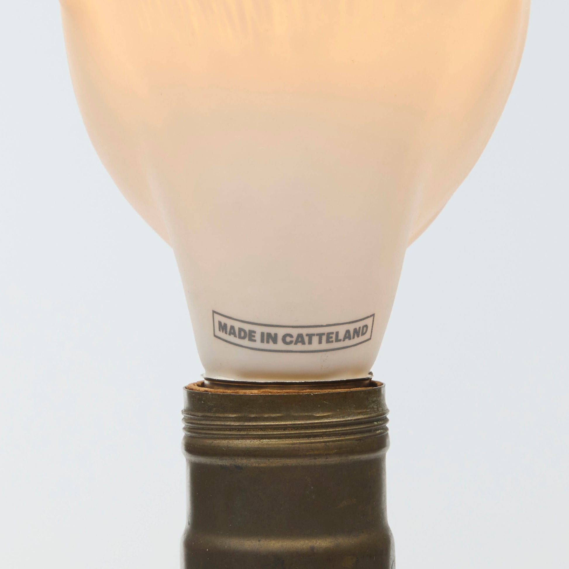 Detail on verso showing "Made In Catteland"