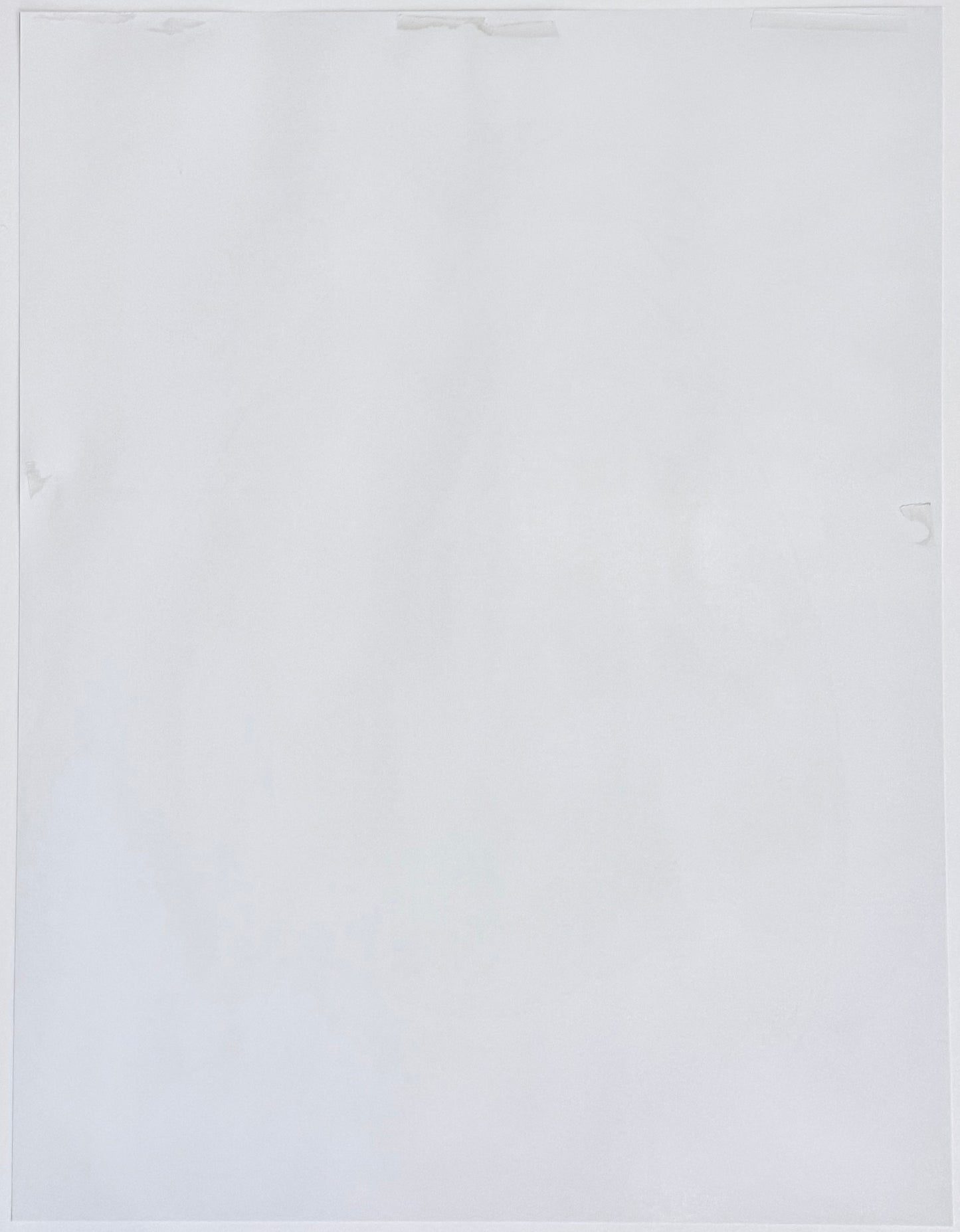 Jeff Koons Donkey 1999 Signed Numbered Dated LTD ED Color Lithograph Unframed