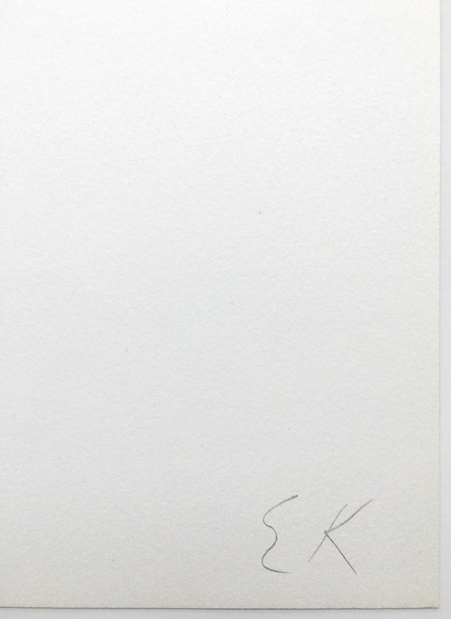 Ellsworth Kelly Untitled 1973 Axsom 92 Limited Edition Screenprint - Joseph K. Levene Fine Art, Ltd. 