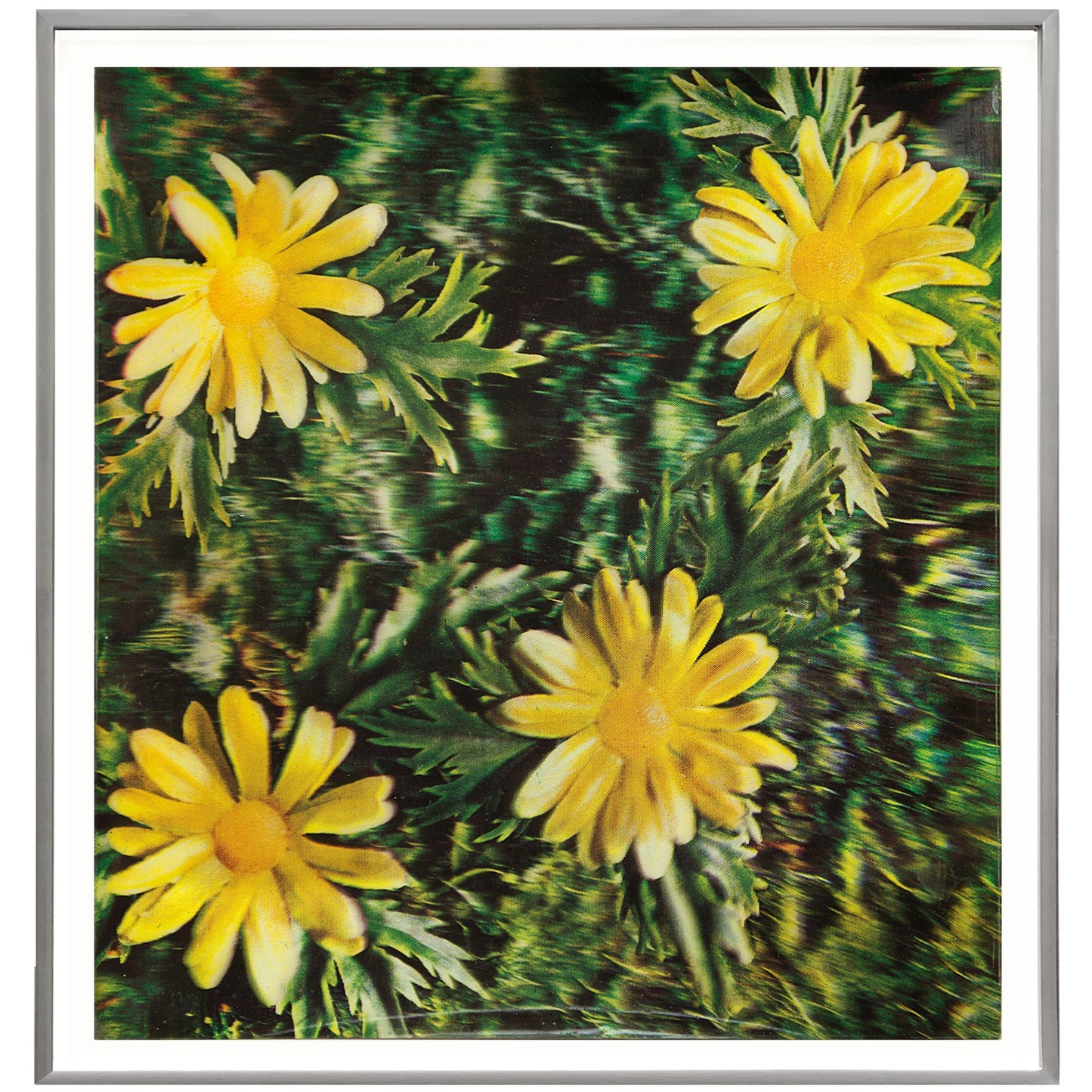 Andy Warhol Rain and Flowers, 1970 Color 3-D Lenticular Print