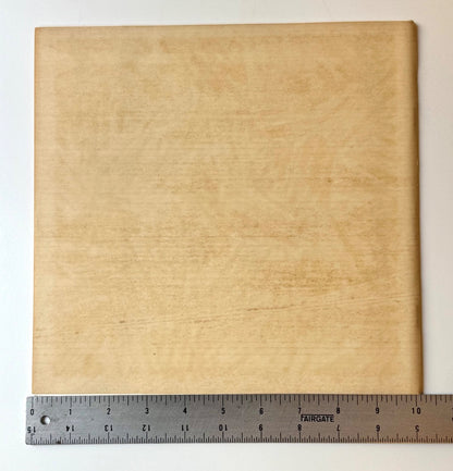 Horizontal dimensions show that back cover dust jacket is 10 1/8 inches
Courtesy Joseph K. Levene Fine Art, Ltd. 