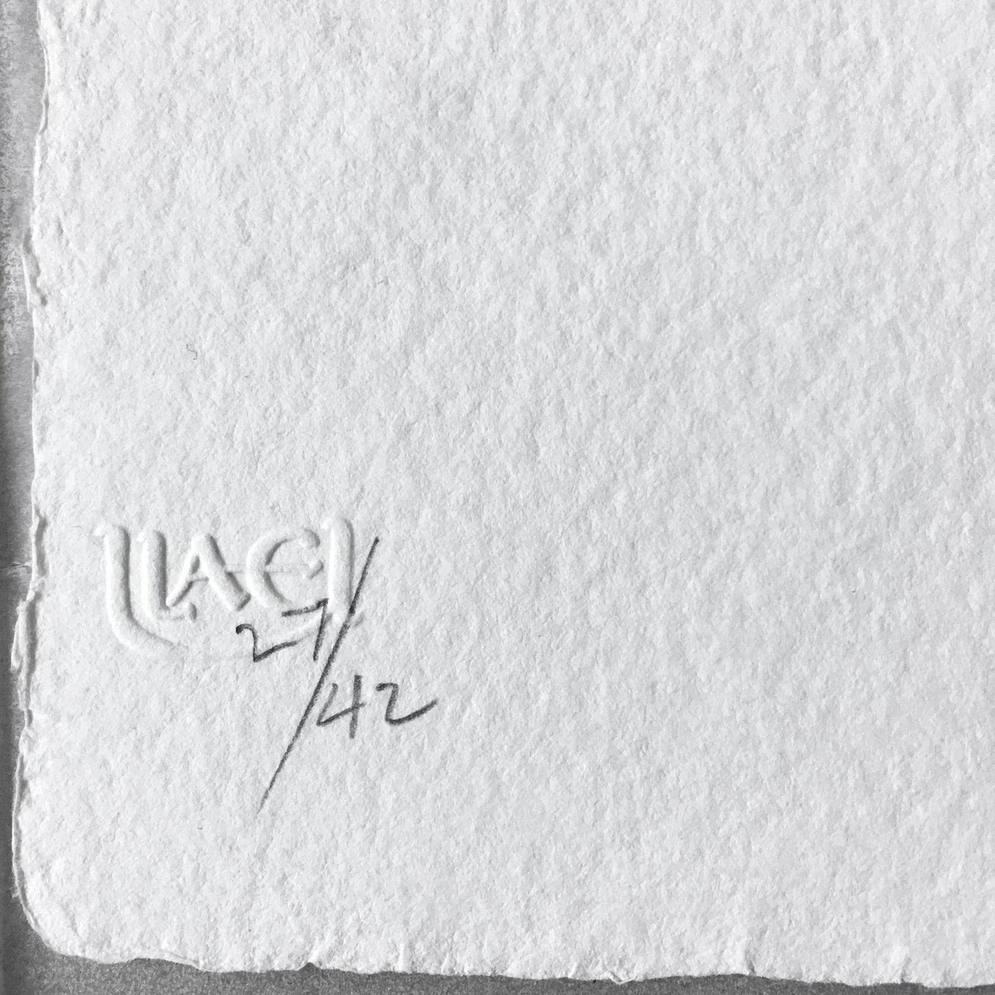 Jasper Johns Savarin 4, 1978 ULAE 194 Detail ULAE blindstamp and edition number "27/42" ascribed in pencil lower left recto - Joseph K. Levene Fine Art, Ltd. 