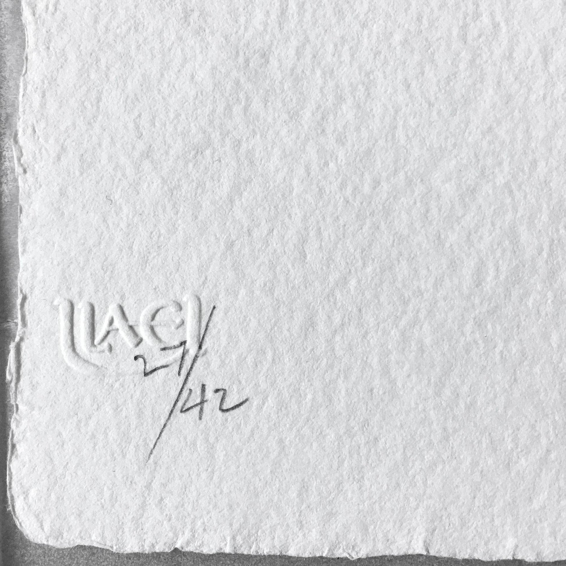 Jasper Johns Savarin 4, 1978 ULAE 194 Detail ULAE blindstamp and edition number "27/42" ascribed in pencil lower left recto - Joseph K. Levene Fine Art, Ltd. 