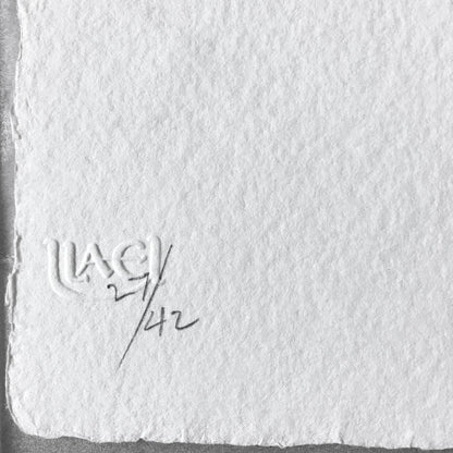 Jasper Johns Savarin 4, 1978 ULAE 194 Detail ULAE blindstamp and edition number "27/42" ascribed in pencil lower left recto - Joseph K. Levene Fine Art, Ltd. 