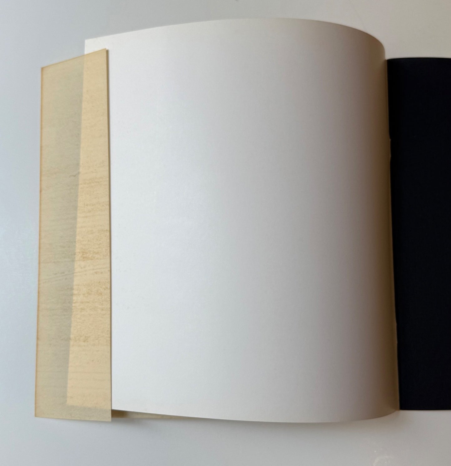 Jasper Johns Untiled 1977 color screenprint dust jacket wrapped around front cover Jasper Johns/Screenprints as originally published by Brooke Alexander, Inc. 