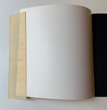 Jasper Johns Untiled 1977 color screenprint dust jacket wrapped around front cover Jasper Johns/Screenprints as originally published by Brooke Alexander, Inc. 