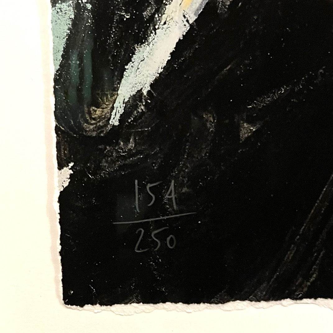 Peter Doig D1-5 Alpinist Night Large Giclée Limited Edition Edition Number Lower Left Recto 