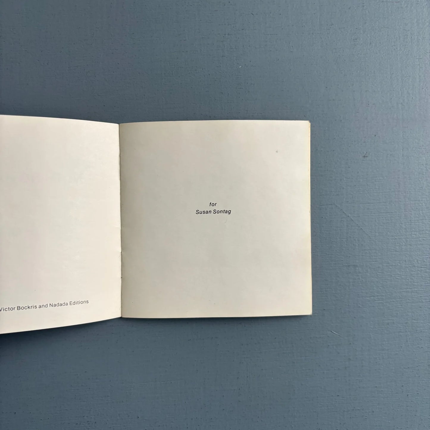Nothing Happens von Victor Bockris 1978 1. Auflage