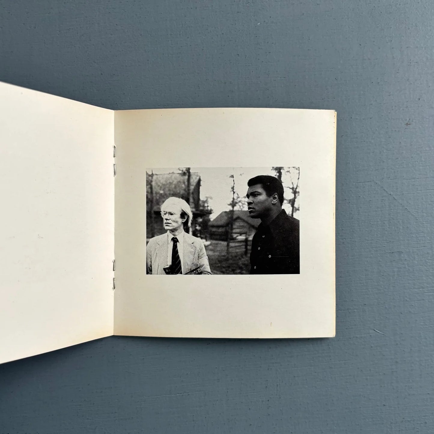 Nothing Happens von Victor Bockris 1978 1. Auflage