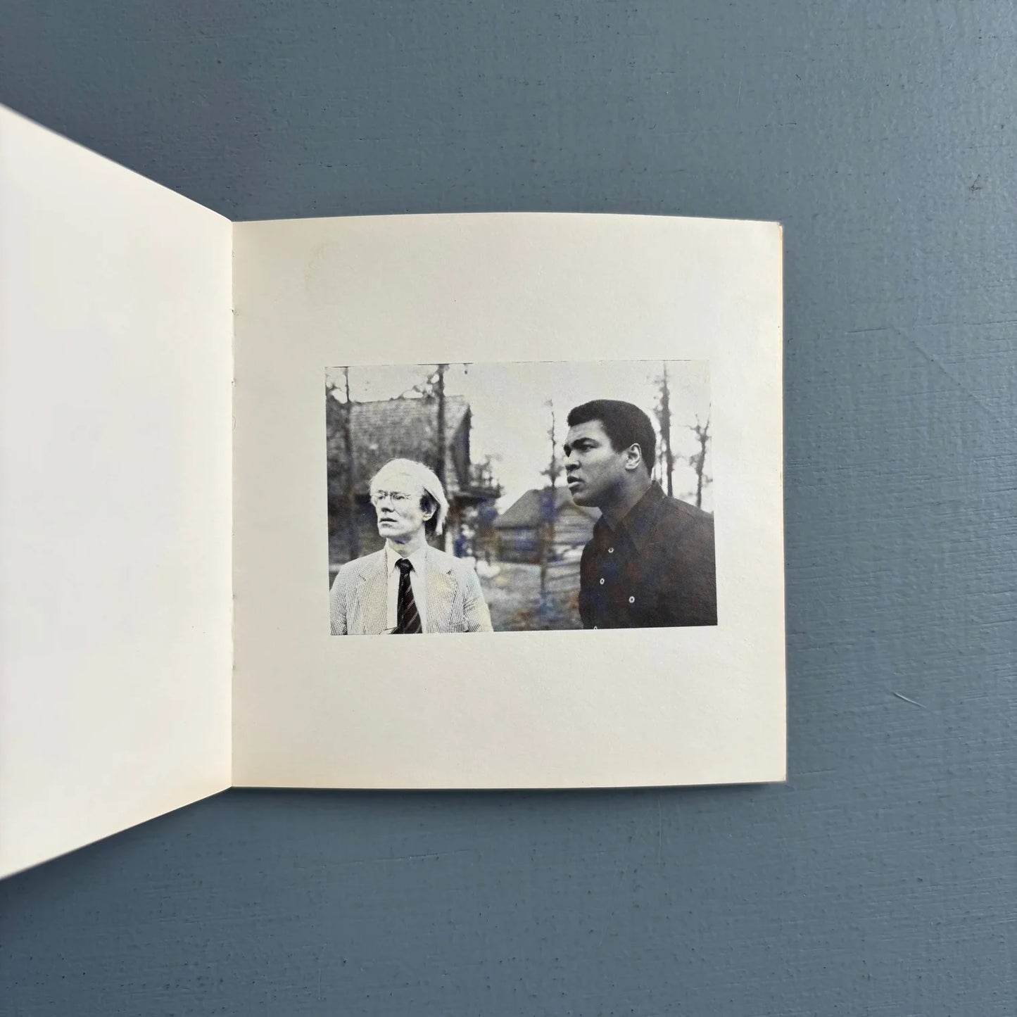 Nothing Happens von Victor Bockris 1978 1. Auflage