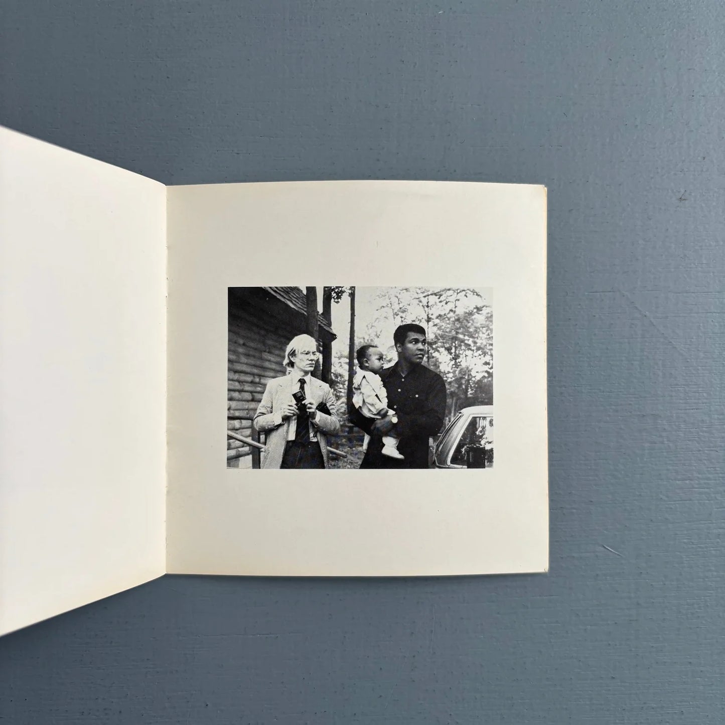 Nothing Happens von Victor Bockris 1978 1. Auflage