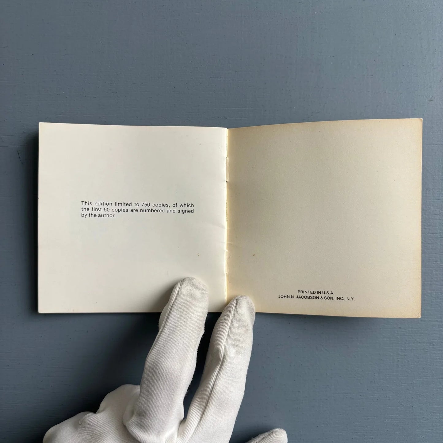 Nothing Happens von Victor Bockris 1978 1. Auflage
