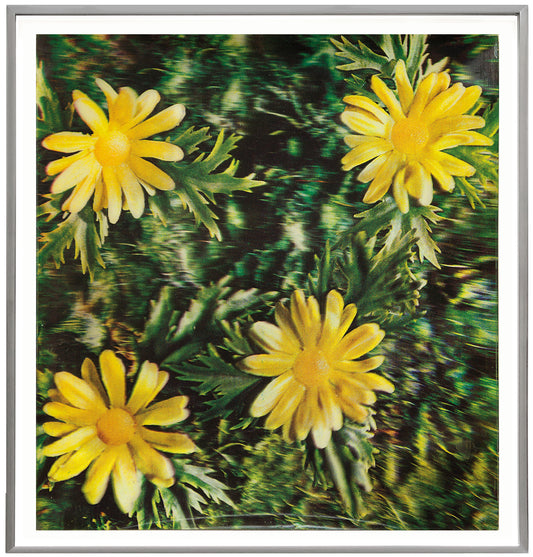 Andy Warhol Rain and Flowers, 1970 Color 3-D Lenticular Print Framed
