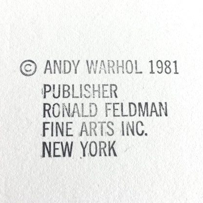 Stamped verso Andy Warhol The Shadow (F&S II. 267), 1981 from the Myths portfolio color screenprint with diamond dust on Lenox Museum Board 