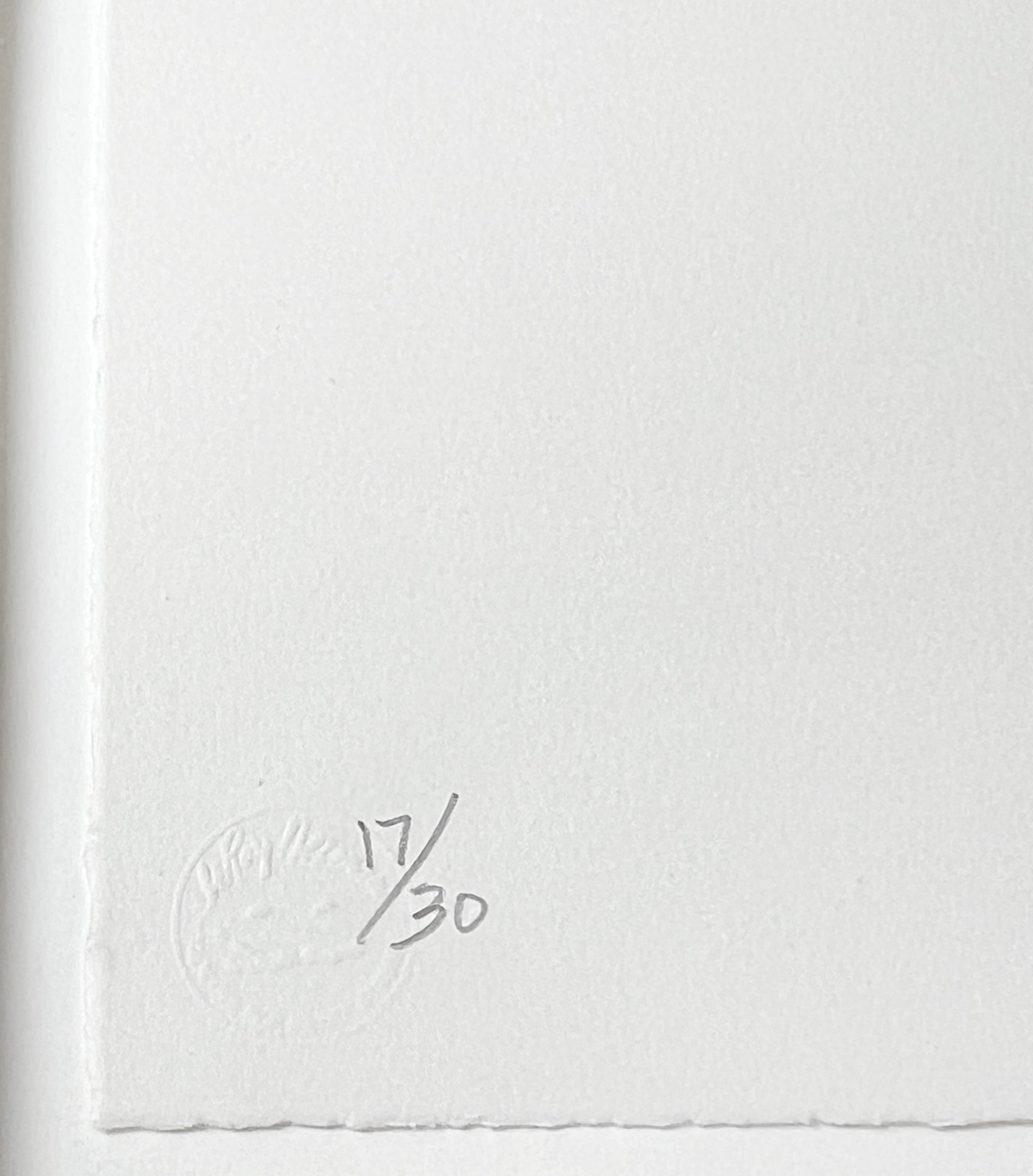 Edition Number in pencil & Publisher Blindstamp lower left Jasper Johns Untitled, 2012 Color Intaglio Print detail of edition number and publishers stamp