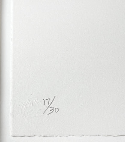 Edition Number in pencil & Publisher Blindstamp lower left Jasper Johns Untitled, 2012 Color Intaglio Print detail of edition number and publishers stamp