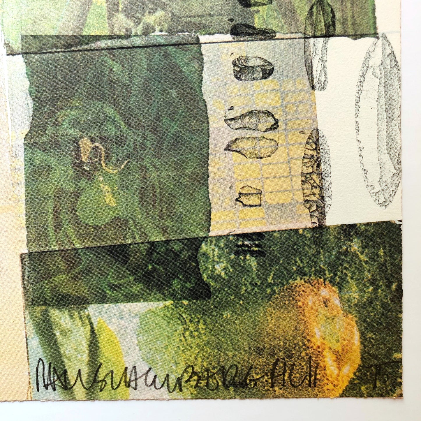 Robert Rauschenberg Deposit, 1975 Color Screenprint detail of signature